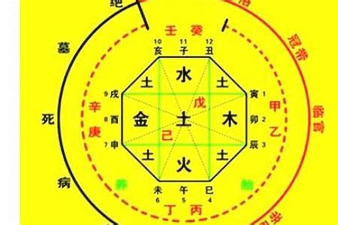 出生年月日時辰算命|生辰八字算命、五行喜用神查询（免费测算）